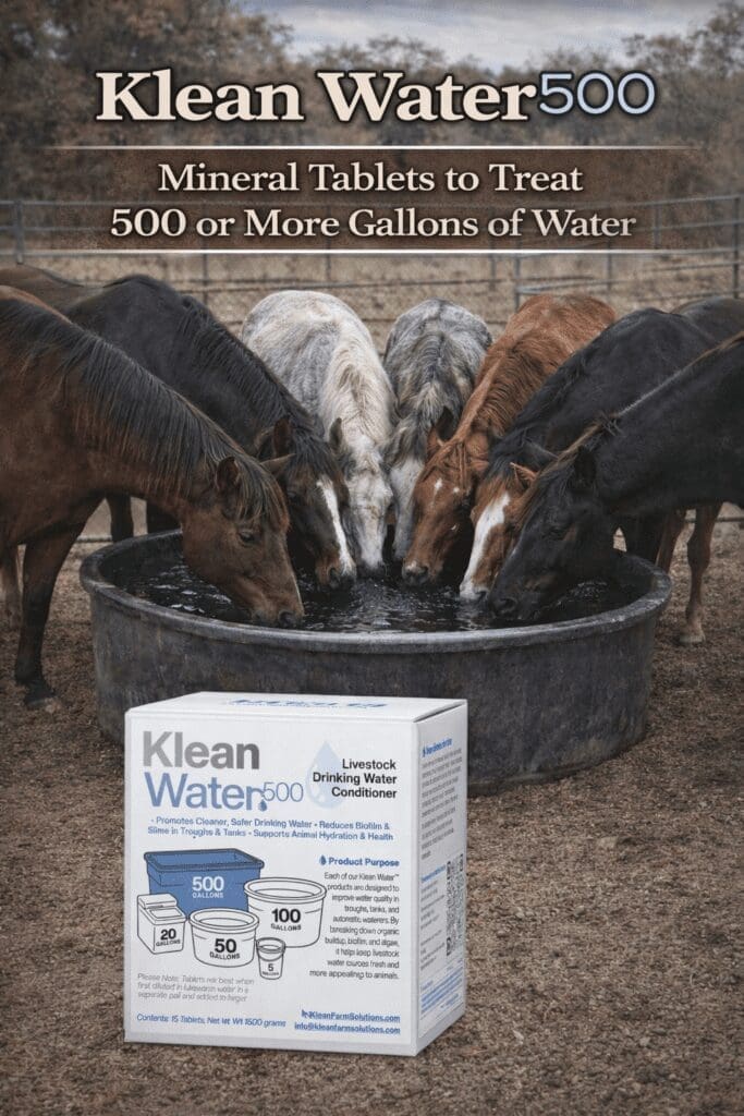 Klean Water 500 - 15 Tablets/Box with Test Strips